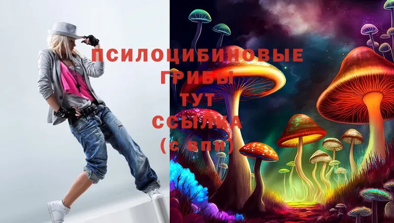 Псилоцибиновые грибы Cubensis Ногинск